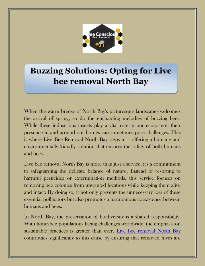 buzzing solutions opting for live bee removal