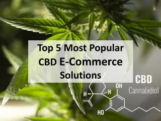 Top 5 Most Popular CBD E-Commerce Solutions