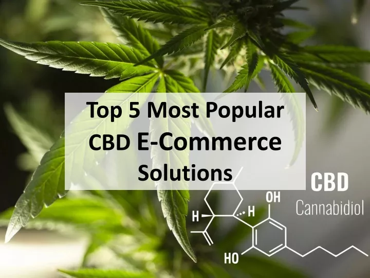 top 5 most popular cbd e commerce solutions