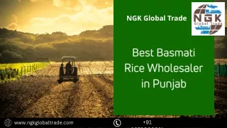 best basmati rice Wholesaler in Punjab