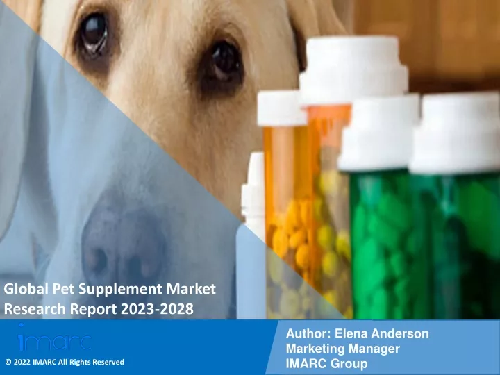 global pet supplement market research report 2023