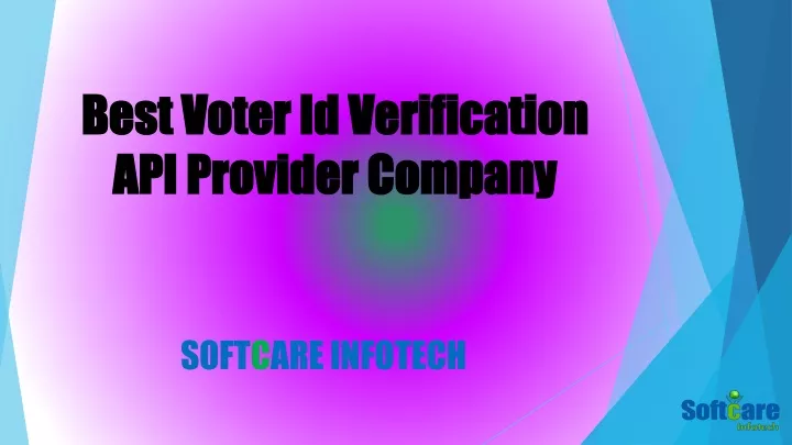 best voter id verification api provider company