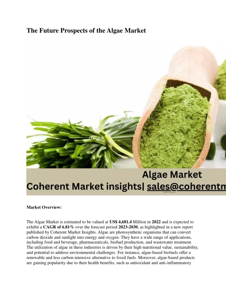 the future prospects of the algae market