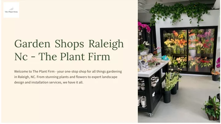 garden shops raleigh nc the plant firm