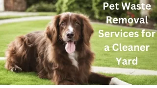 Efficient and Eco-Friendly Pet Waste Removal Services for a Cleaner Yard