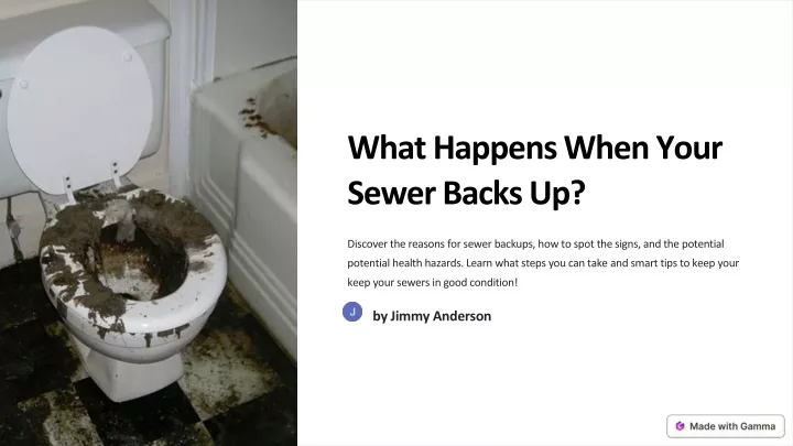 what happens when your sewer backs up