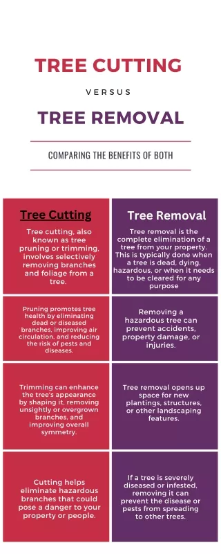 Tree Cutting Vs Tree Removal