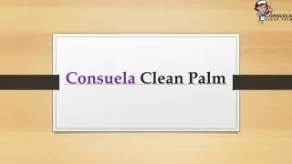 Reliable Home Cleaning Services In Boca Raton - Consuela Clean Palm