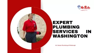 Expert Plumbing Services in Washington