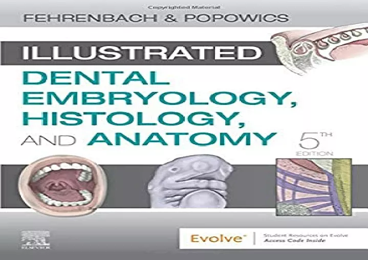 illustrated dental embryology histology and anatomy 3rd edition free download