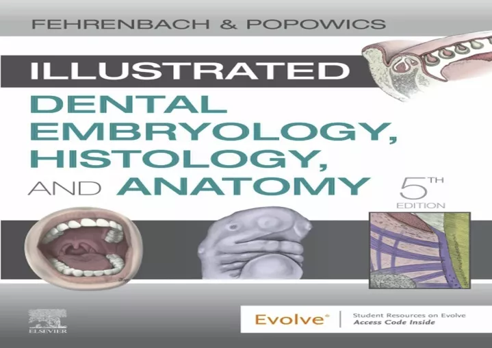 illustrated dental embryology histology and anatomy pdf free download