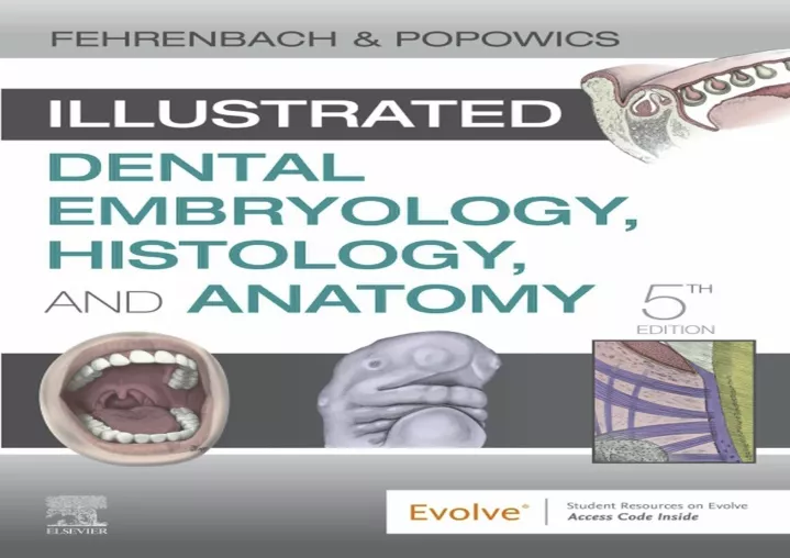 illustrated dental embryology histology and anatomy pdf download