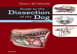 [PDF] Guide to the Dissection of the Dog Kindle