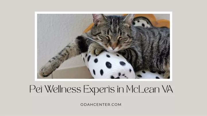 pet wellness experts in mclean va
