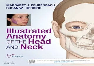 [PDF] Illustrated Anatomy of the Head and Neck Kindle
