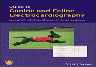 (PDF) Guide to Canine and Feline Electrocardiography Free