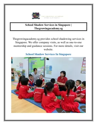 School Shadow Services in Singapore | Thegrowingacademy.sg