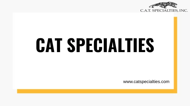 cat specialties