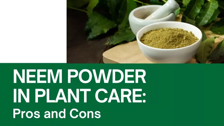 neem powder in plant care pros and cons