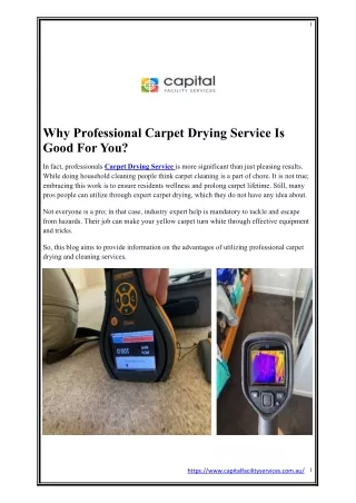Fast and Reliable Carpet Drying Service for Quick Restoration