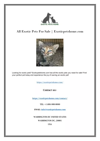 Exotic Pets For Sale | Exoticpetshome.com