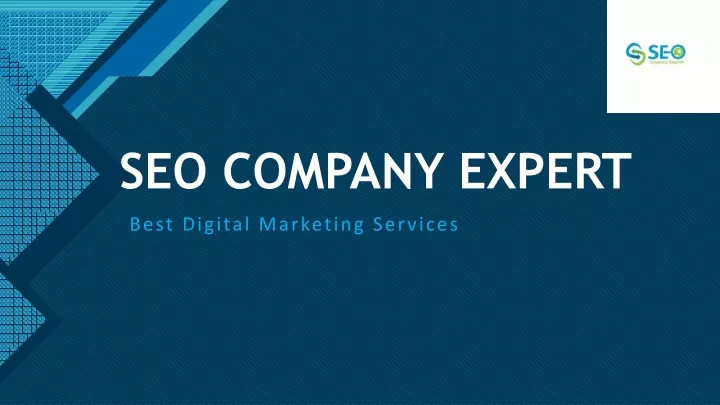 seo company expert