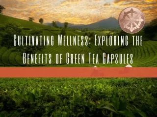 Cultivating Wellness Exploring the Benefits of Green Tea Capsules