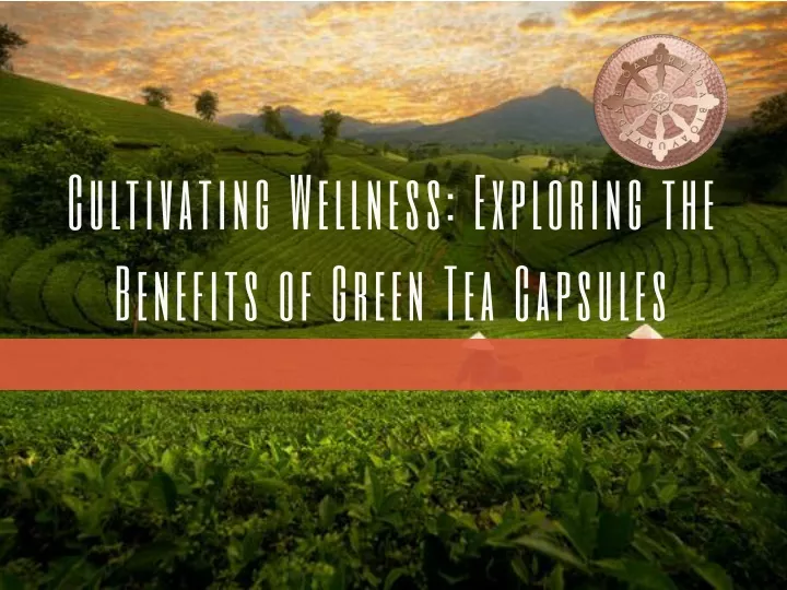 cultivating wellness exploring the benefits