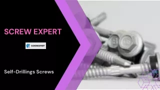 Self-Drilling Screws by Screw Expert: Efficiency Unleashed