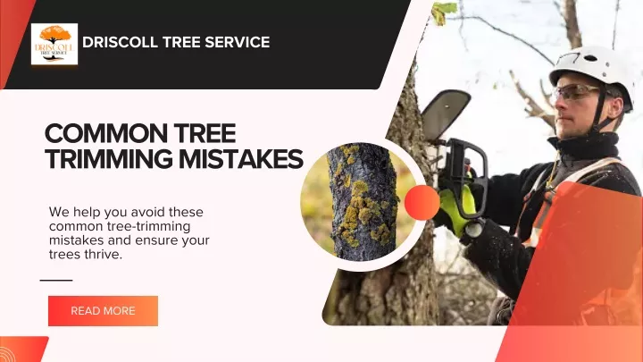 driscoll tree service