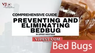 Comprehensive Guide to Preventing and Eliminating Bedbugs in Upper Westside