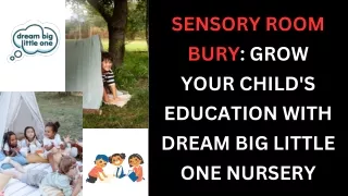 SENSORY ROOM BURY: GROW YOUR CHILD'S EDUCATION WITH DREAM BIG LITTLE ONE NURSERY