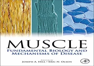 FULL DOWNLOAD (PDF) Muscle 2-Volume Set: Fundamental Biology and Mechanisms of Disease