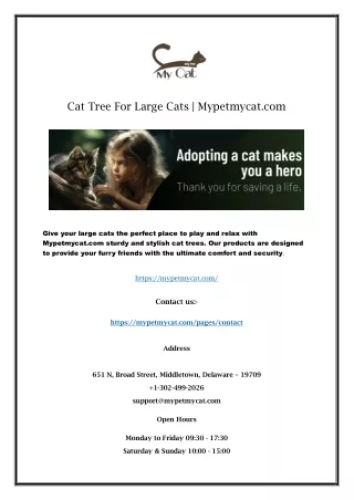 Cat Adoption Seattle | Mypetmycat.com