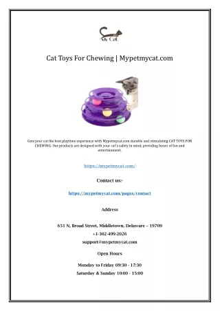 Cat Toys For Chewing | Mypetmycat.com