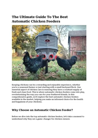 The Ultimate Guide To The Best Automatic Chicken Feeders