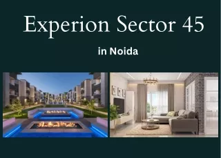 experion sector 45 in noida