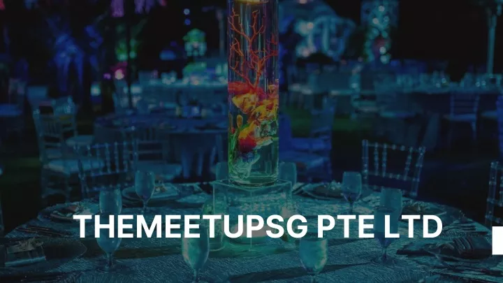 themeetupsg pte ltd