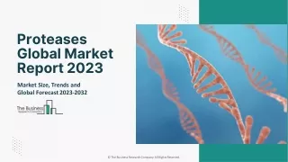 Proteases Market Size, Industry Share, Analysis, Growth, Forecast Report 2032