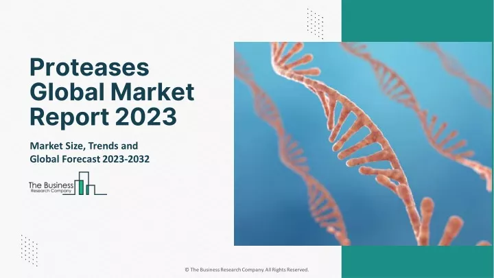 proteases global market report 2023