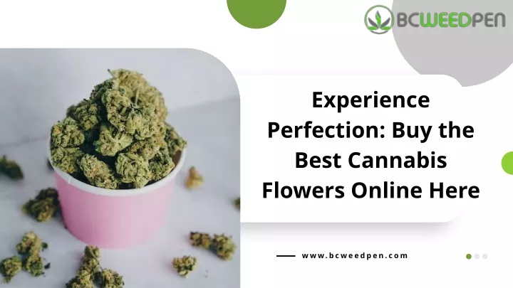 experience perfection buy the best cannabis