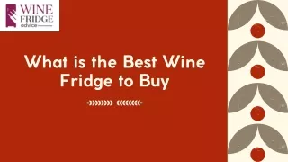 What is the Best Wine Fridge to Buy