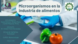 Microorganismos en la industria de alimentos grupo 1