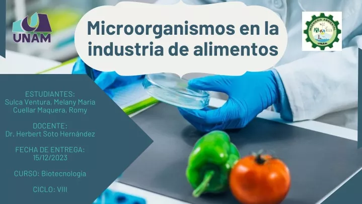 microorganismos en la industria de alimentos