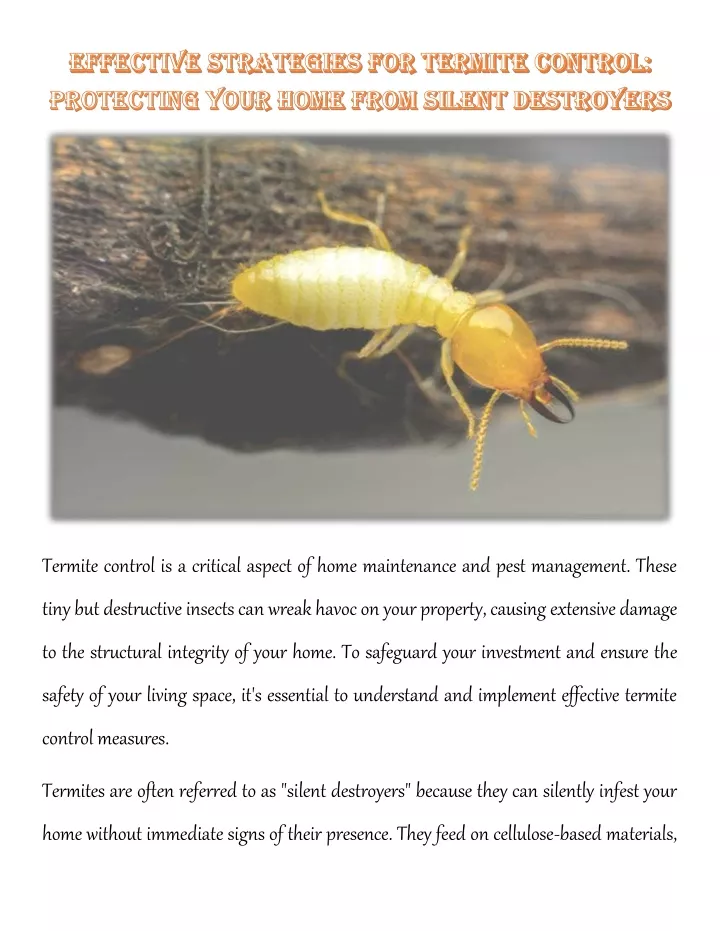 termite control is a critical aspect of home