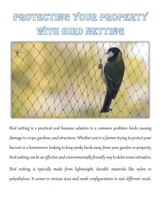 bird netting is a practical and humane solution