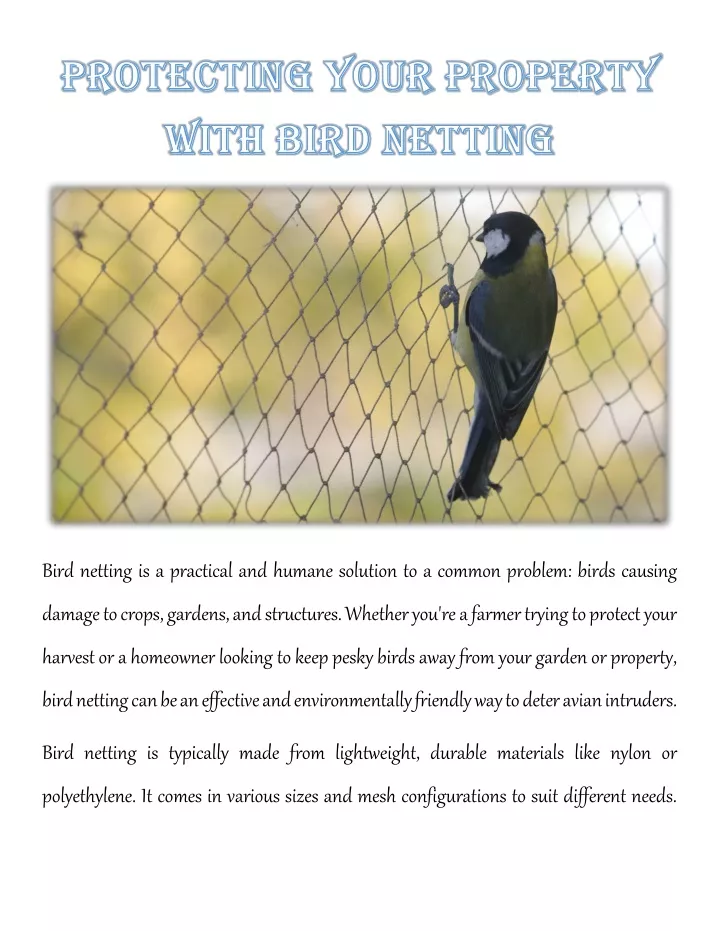 bird netting is a practical and humane solution