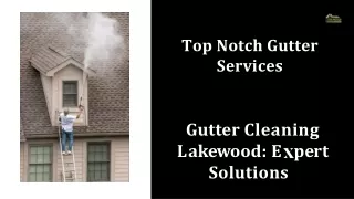 Gutter Cleaning Lakewood: Expert Solution