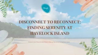 Disconnect to Reconnect: Finding Serenity at Havelock Island