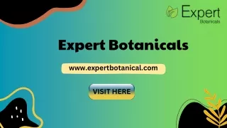 Expert Botanicals: Premium Kratom Capsules for Sale In USA